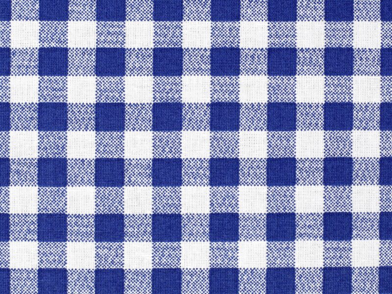 Cotton fabric blue checkered by Stofex.