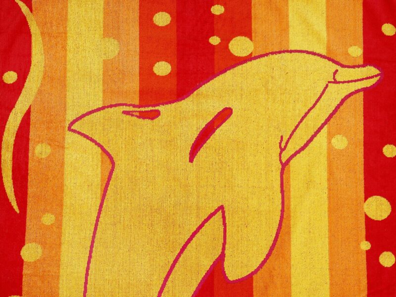 Large beach towel with orange dolphin by Stofex.