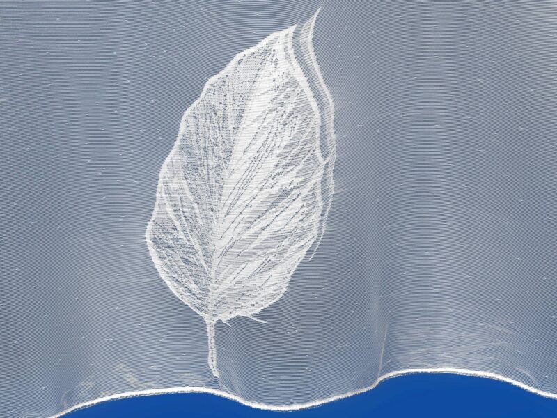 Jacquard sheer curtain with leaves pattern 58011 by Stofex.