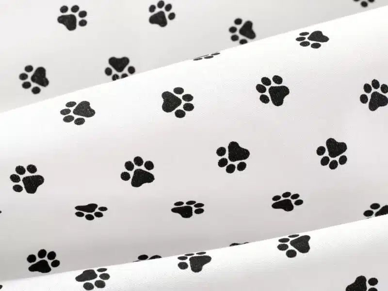 Cotton fabric black paws by Stofex.