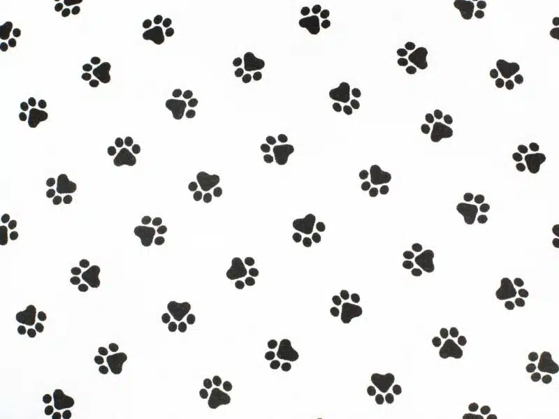 Cotton fabric black paws by Stofex.