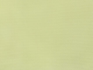 Teflon fabric pistachio width 160 cm by Stofex.