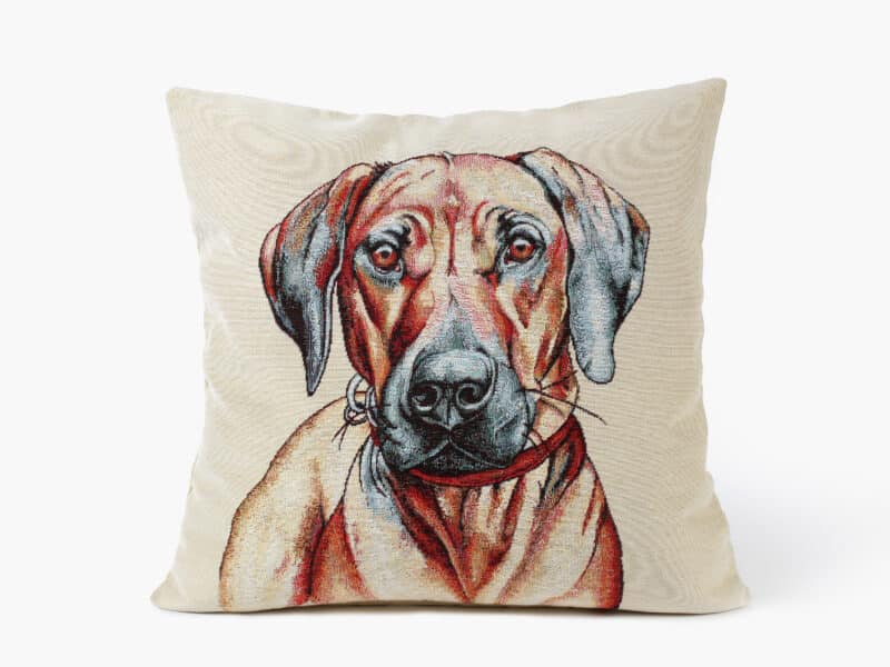 Tapestry pillowcase ridgeback on beige by Stofex.