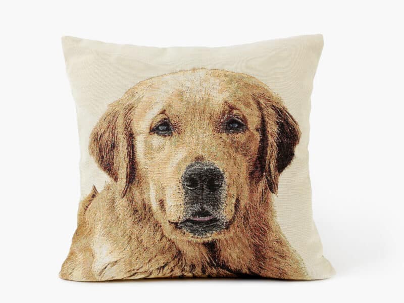 Tapestry pillowcase labrador on beige by Stofex.