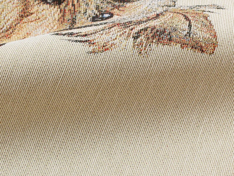 Tapestry pillowcase yorkshire on beige by Stofex.